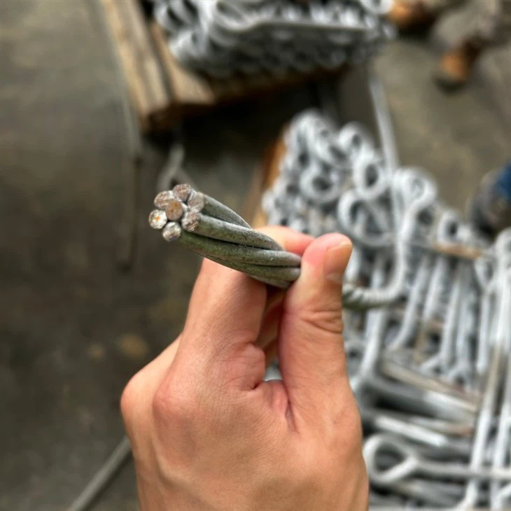 Steel Wire Rope
